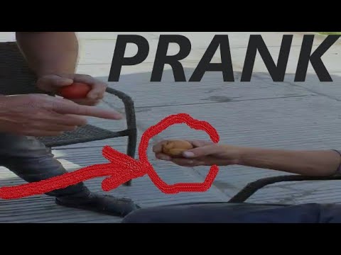 PRANK jaje (LJUBA ŠUMAR)