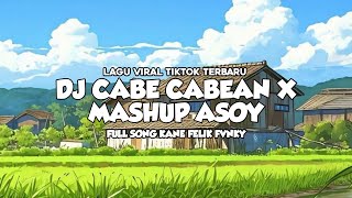Download lagu DJ CABE CABEAN X MASHUP VIRAL TIK TOK TERBARU 2024 [ Felik Felik ] mp3