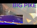 Video Thumbnail for Accidental PIKE fishing with GARMIN LIVESCOPE( my livescope setting)￼