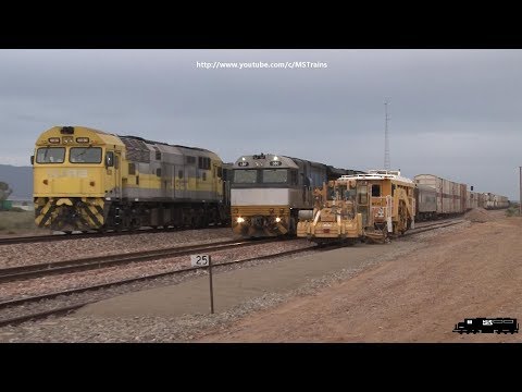 Vintage Alcos & EMDs on the Mainline: Mid North Rail Movements - Edition 8