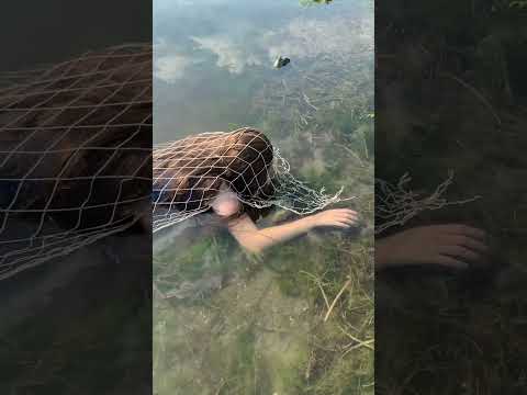 Mermaid Caught in a Net Drying Out on the Beach #realmermaid #imadethis