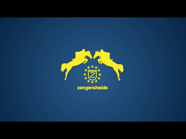 Full Brother Approved Zangersheide stallion Kazan Z