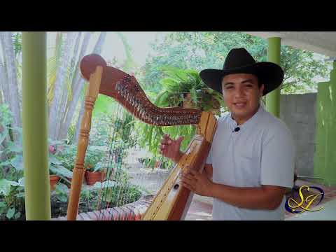 YO NO ME VOY DE MI LLANO - Julio Siniva