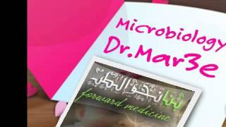 Dr Mar3e  _5-corynibacterium