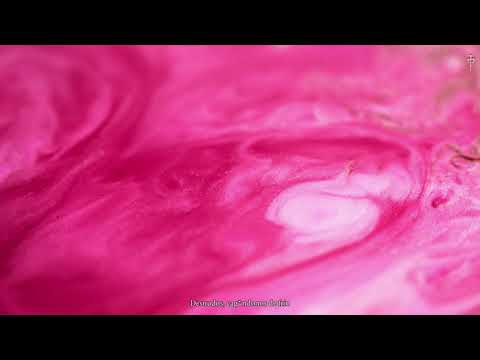 9. Lui5 - XINITA | G E O R G I A