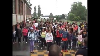 preview picture of video 'Flash Mob avec Roberto à Villers-le-Bouillet'