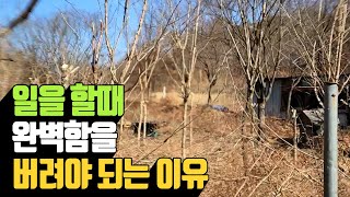 일을 할때 완벽함을 버려야 되는 이유 | 나무대장