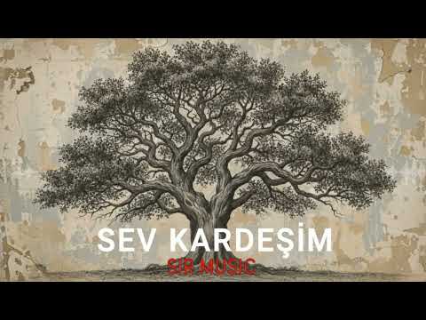 SEV KARDEŞİM | Psychedelic Anatolian Rock Cover