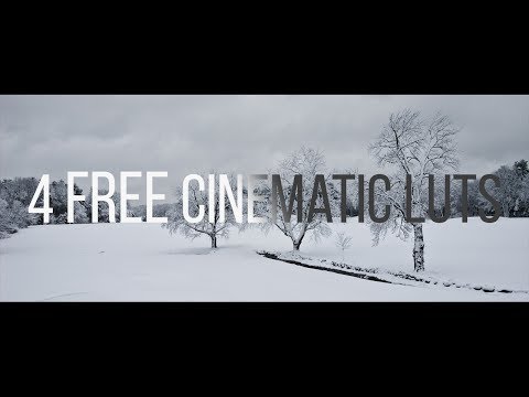 LUT PACK • 4 FREE Cinematic LUTs | Premiere Pro, Final Cut Pro, ect