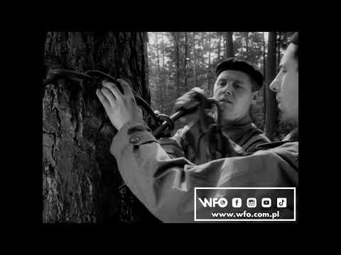 Patent rodem z PRL /WFO shorts/