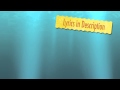 Til' I Got to Know You-Sanctus Real (Lyrics)