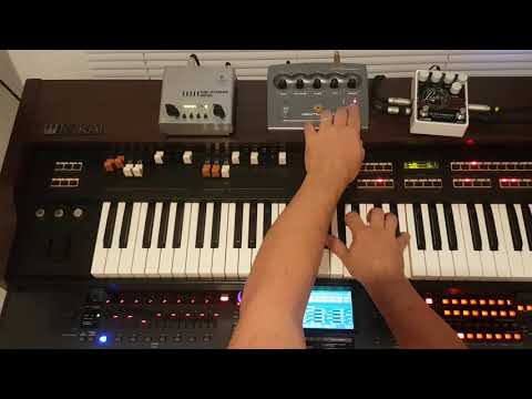 Neo Ventilator & Lester K