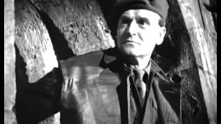 Immigrant Visa Part II feat. MC Zulu - Maga Bo (STANK Remix)