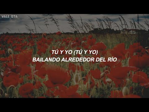 Leo Rizzi, Danny Ocean - Amapolas Remix | Letra