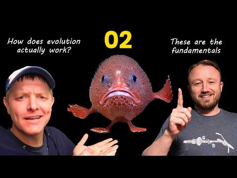 Flagella Evolution? 02: The fundamentals