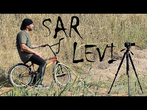 SAR LEVI for VANS israel