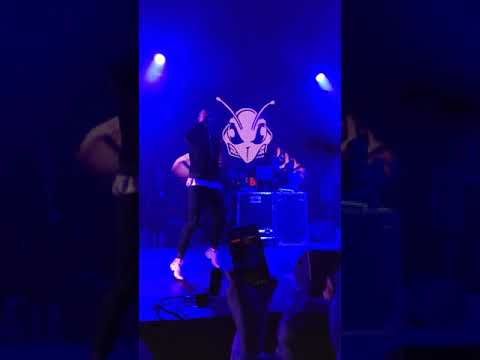 Bumble Beezy feat. ROUX - VIBE (LIVE МОСКВА 2.11.18)