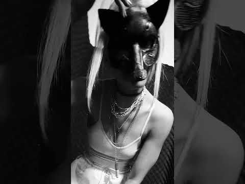 Meine Fans sind alles Psychos!