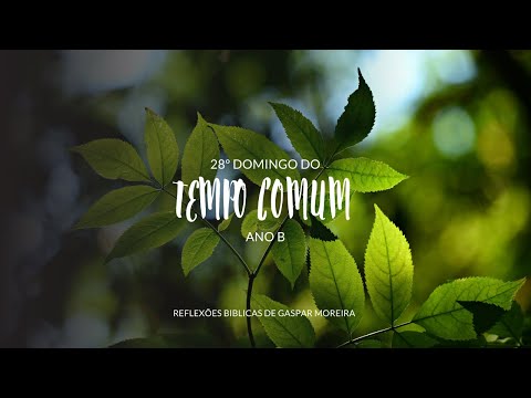 28º DOMINGO DO TEMPO COMUM – ANO B