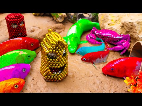 Smallest Fish into Biggest Fish Stop Motion ASMR - Frog Saving Petsmart eel in hole Magnet Cooking