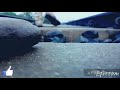 Main Duniya Se Chala Jawonga Whatsapp Status