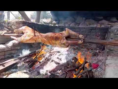 YUNUSBABA'nın ÇİFTLİĞİ