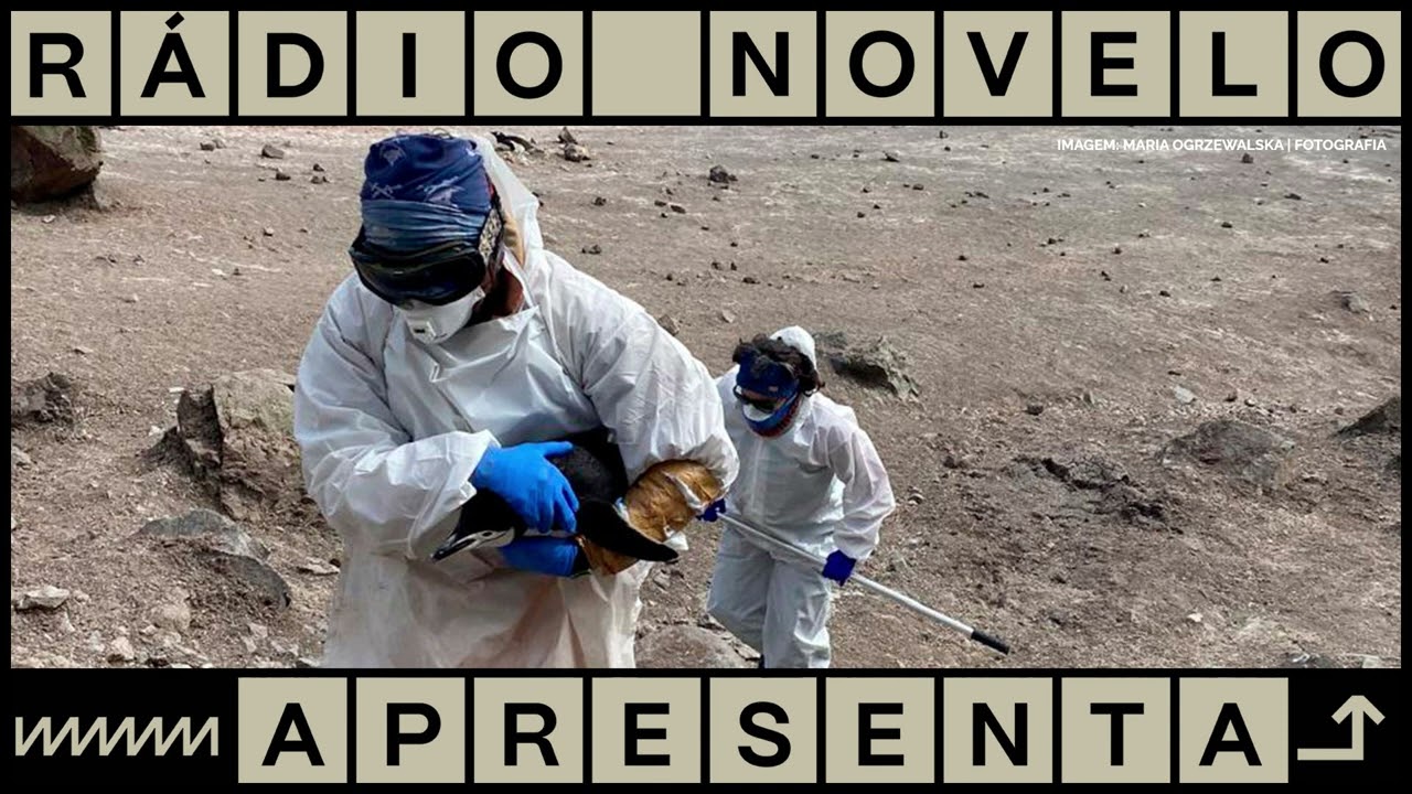 Uma eterna quarta-feira | Podcast Rádio Novelo Apresenta