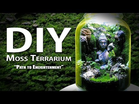How to build a DIY Moss Terrarium!!! | Path to Enlightenment | Buddha Moss Terrarium | Terrascaping