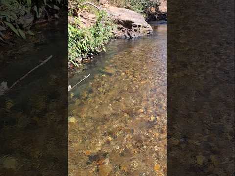 Aquele banho de rio. #goiás #pirenopolis #turismo #explore