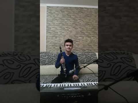 IULIAN BORŞ - Hora de suflet (Cover - Cristian Ciolacu)