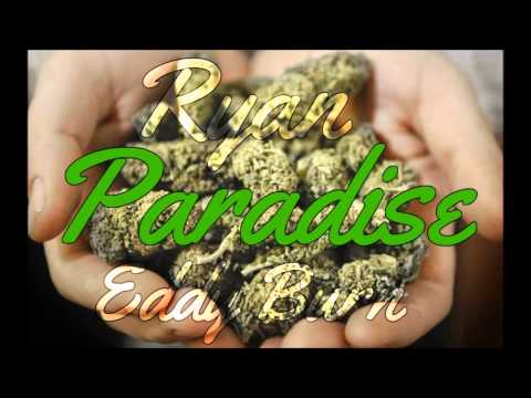 Tolo 195 feat. Eddy Burn - Paradise