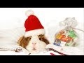 HAPPY HOLIDAYS - Pets Add Life and Talking.