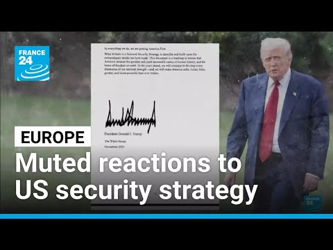 EU reacts to US security strategy document saying Europe face 'civilisational erasure' • FRANCE 24