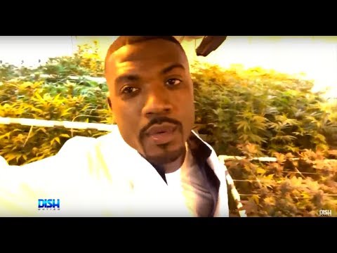 I ROLLED IT FIRST! RAY J IS GETTING INTO THE MARIJUANA BUSINESS