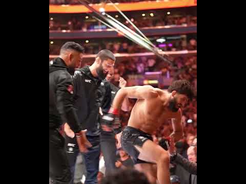 UFC video artwork