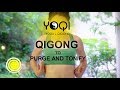 Qigong to Purge and Tonify