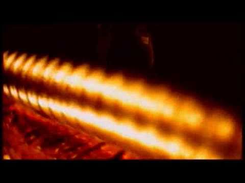 Gregor Mackintosh (Paradise Lost)