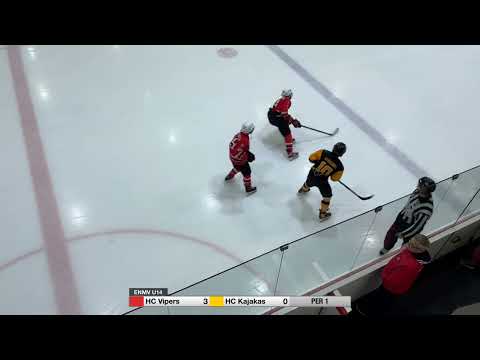 HC Vipers - HC Kajakas