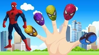 Spiderman Finger Family Colors Daddy Finger Long Version