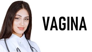 Download lagu Vagina mp3