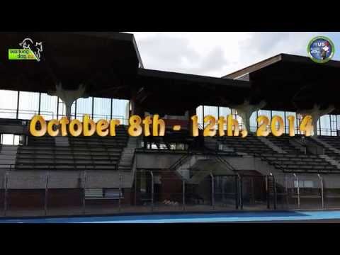 WUSV Worldchampionship 2014 LIVE!!!! Trailer