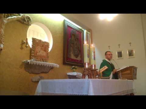 Niedziela 2017-07-16 - homilia - ks. Paweł Murziński