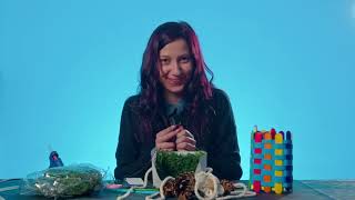 How to Make a Bird Feeder 