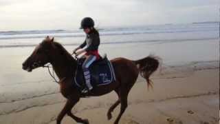 preview picture of video 'Kids are enjoying a beach horse ride in Essaouira (Morocco) 2012'
