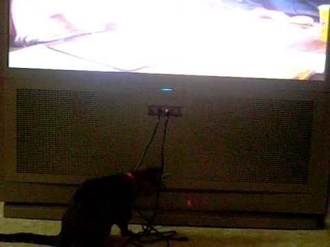 How to turn on/off your tv