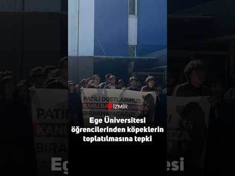 Ege Üniversitesi öğrencilerinden köpeklerin toplatılmasına tepki: “Patili dostlarımızı kanlı barınaklarınıza bırakmayacağız”