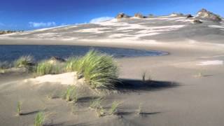 Rod Stewart - Farewell (LYRICS)