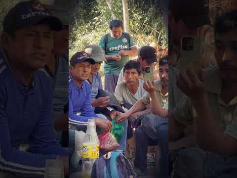 APERTURA DE CAMINO - COCAPATA