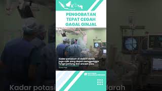 Pengobatan Tepat untuk Mencegah Gagal Ginjal yang Harus Diketahui: Kontrol Tekanan Darah