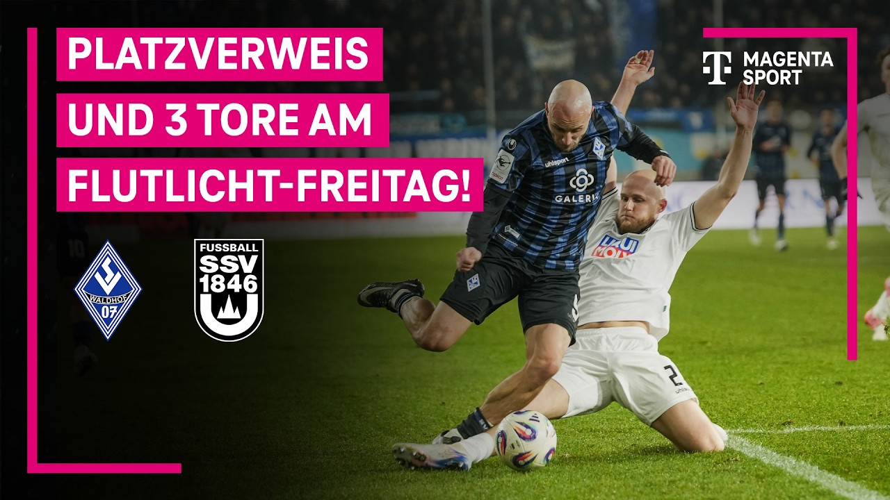 SV Waldhof Mannheim vs SSV Ulm 1846 Highlights